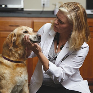 Dr. Belle Nibblett